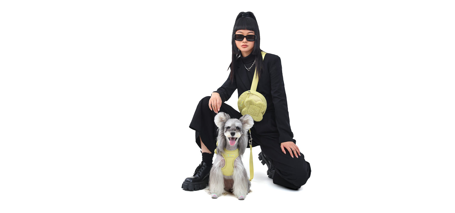 Mochipop Product Banner