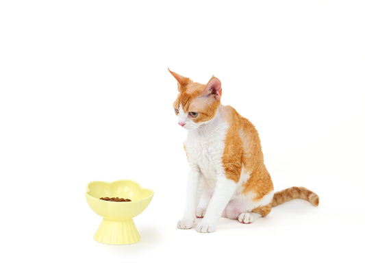 “the Floret” Elevated Ceramic Pet Bowl - YELLOW