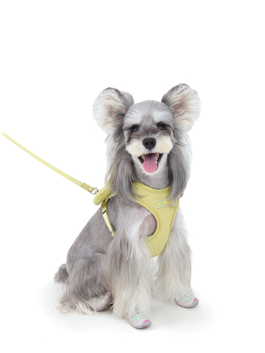 "the Bloomy" Pet Harness