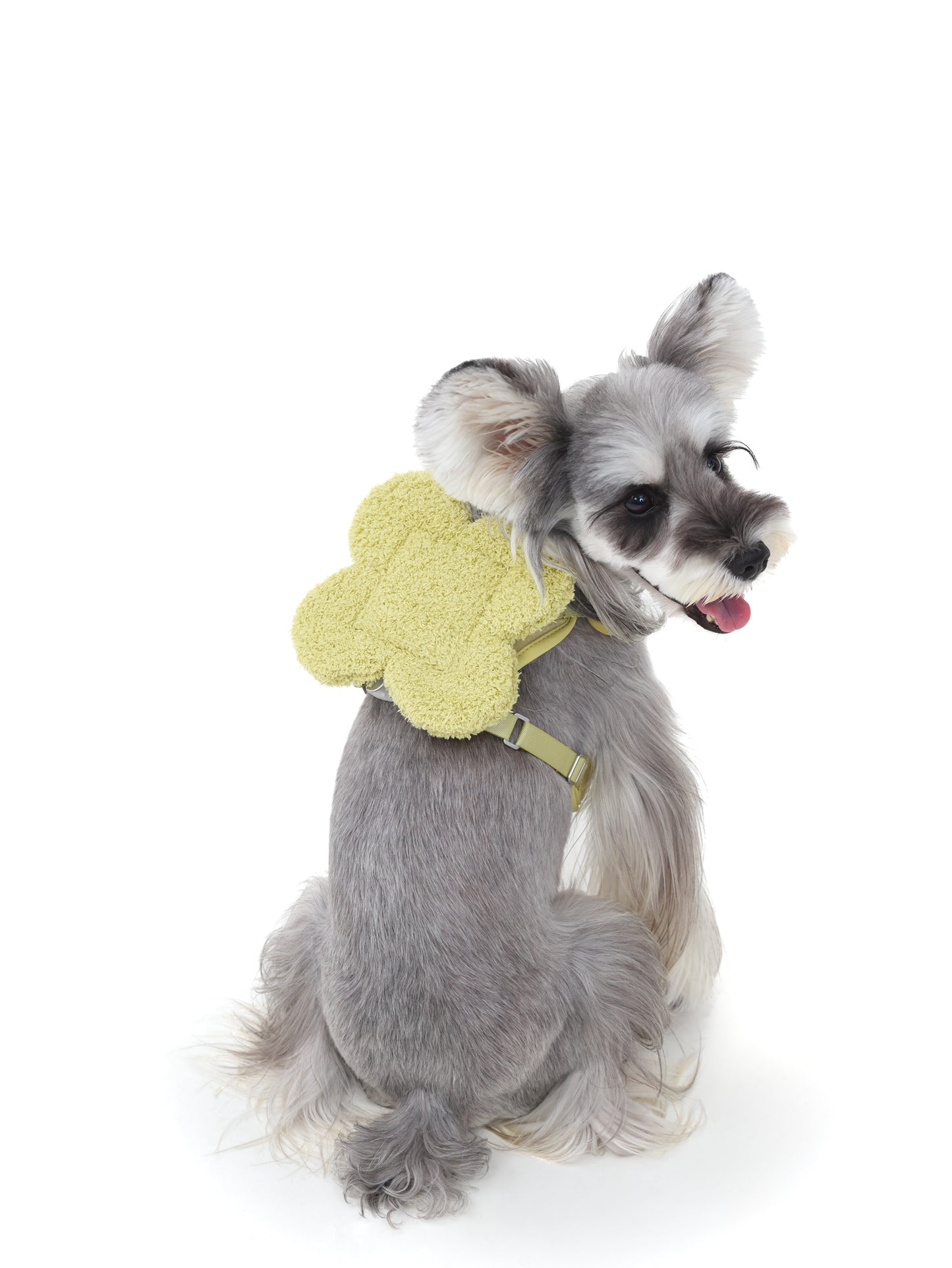 "the Bloomy" Pet Harness
