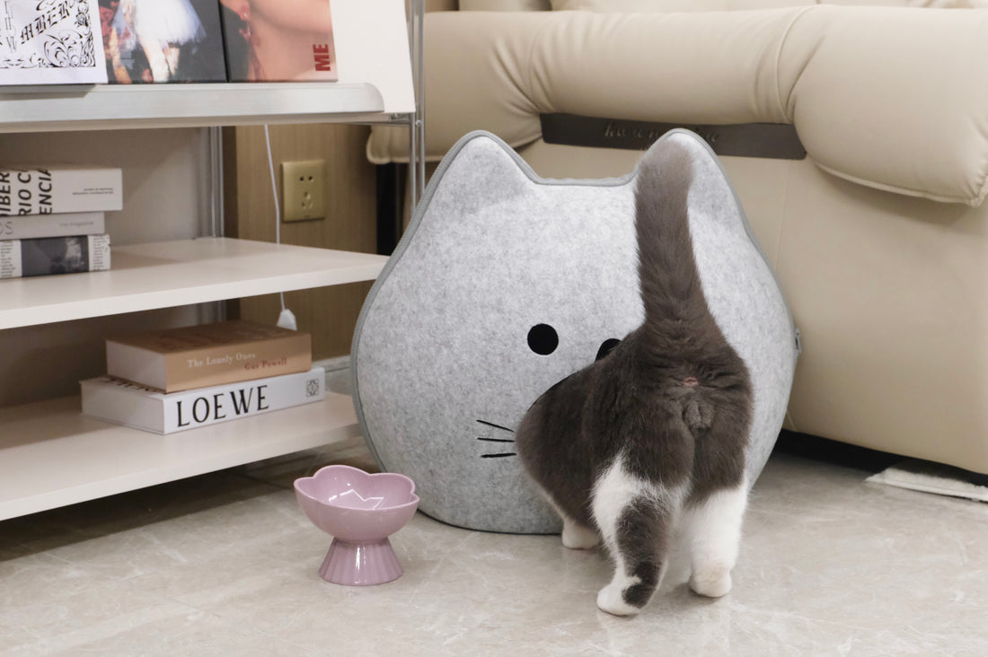 Why Your Cat Needs a Bed Cave: Unveiling the Cozy Benefits