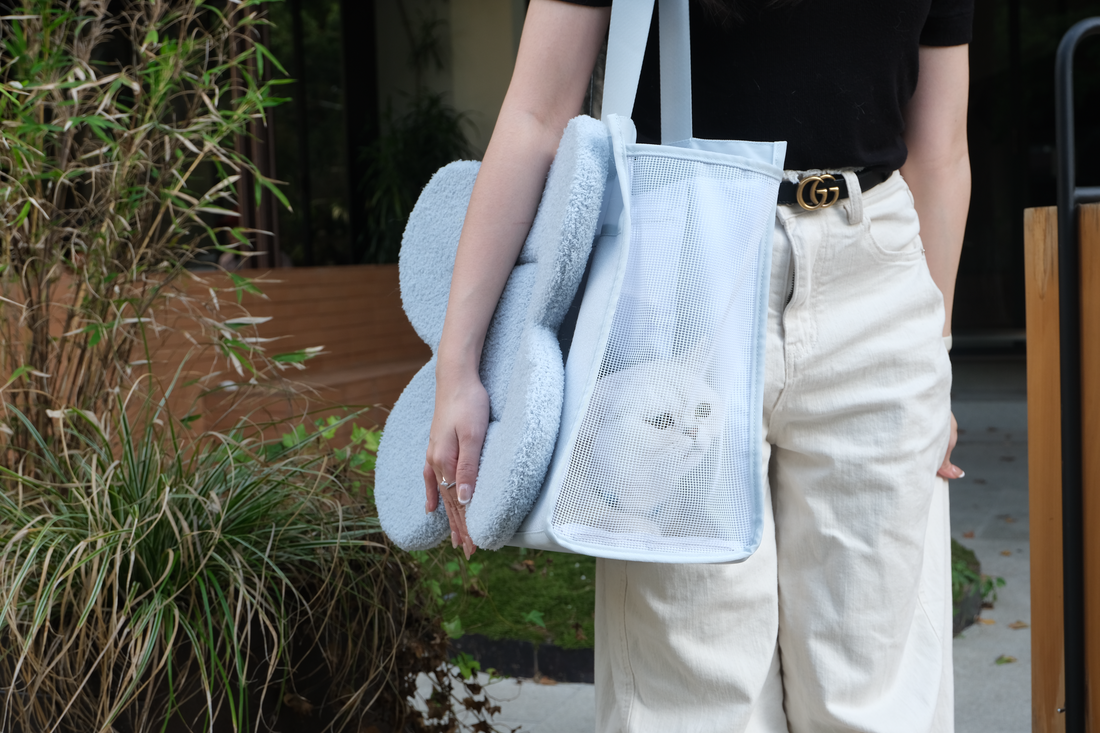 Unlocking the Benefits of Socialization Training for Cats