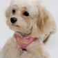 “the Clover” 2026 Upgraded Pet Harness - PINK
