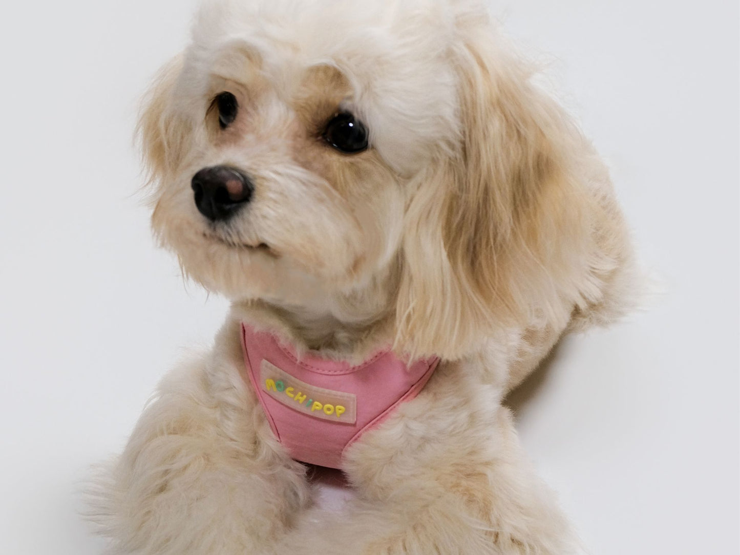 “the Clover” 2026 Upgraded Pet Harness - PINK