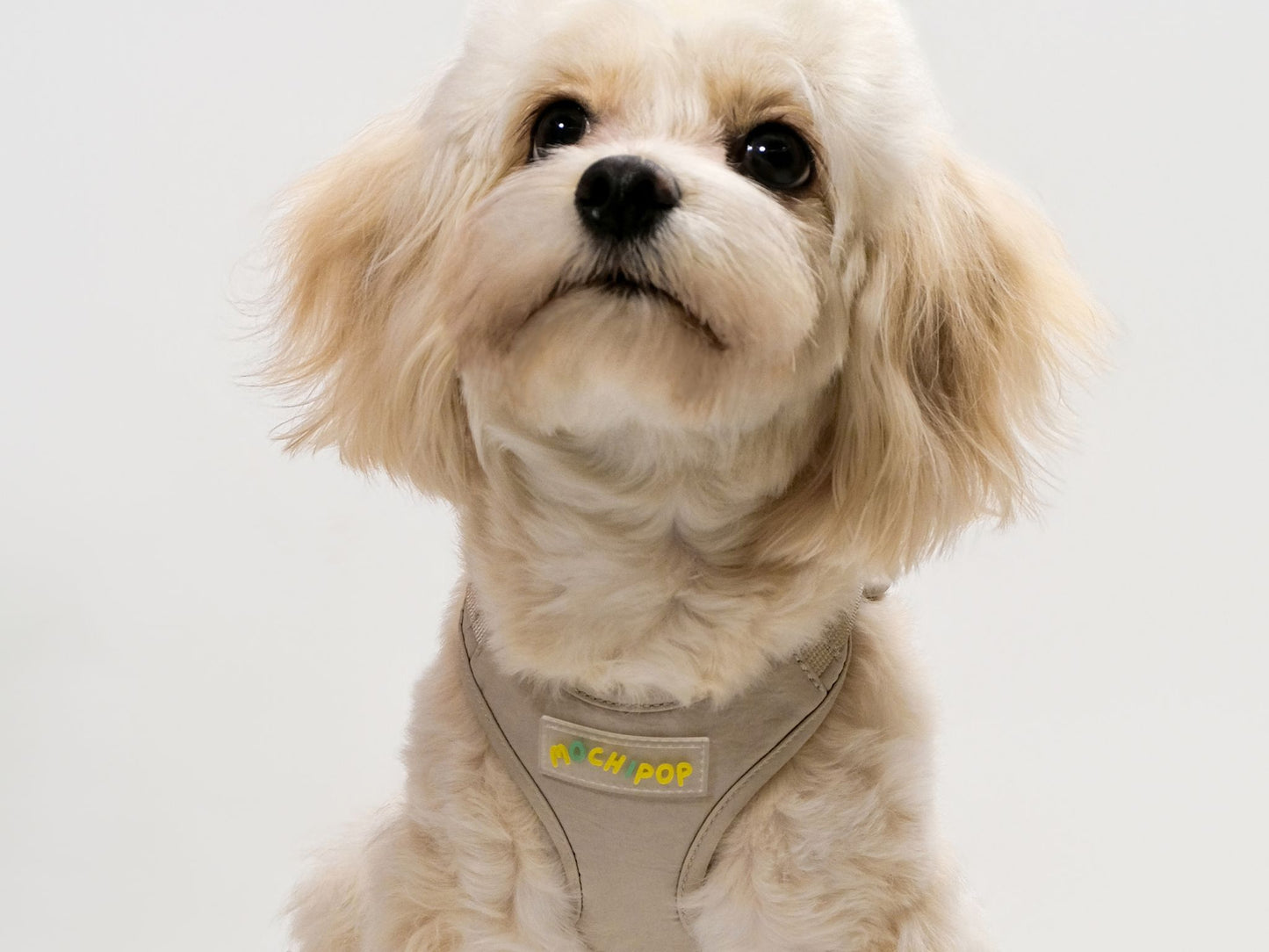 “the Clover” 2026 Upgraded Pet Harness - BEIGE