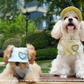 Adjustable Pet Outdoor Sun Hat