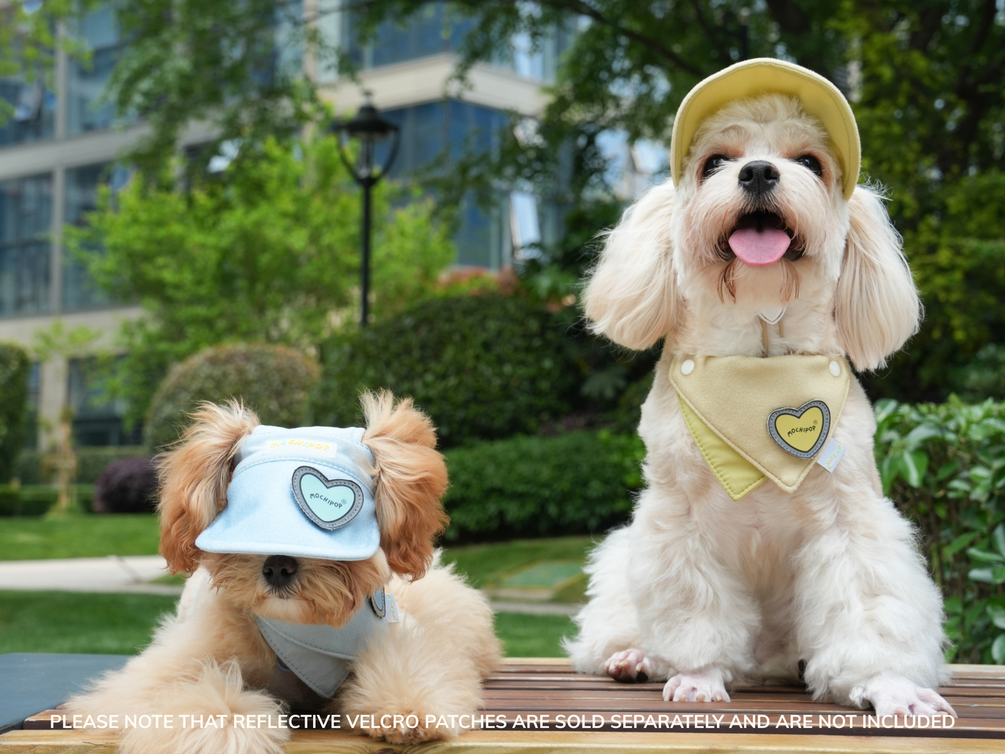Adjustable Pet Outdoor Sun Hat