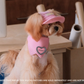 Adjustable Pet Outdoor Sun Hat