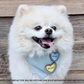 Adjustable Pet Bandana