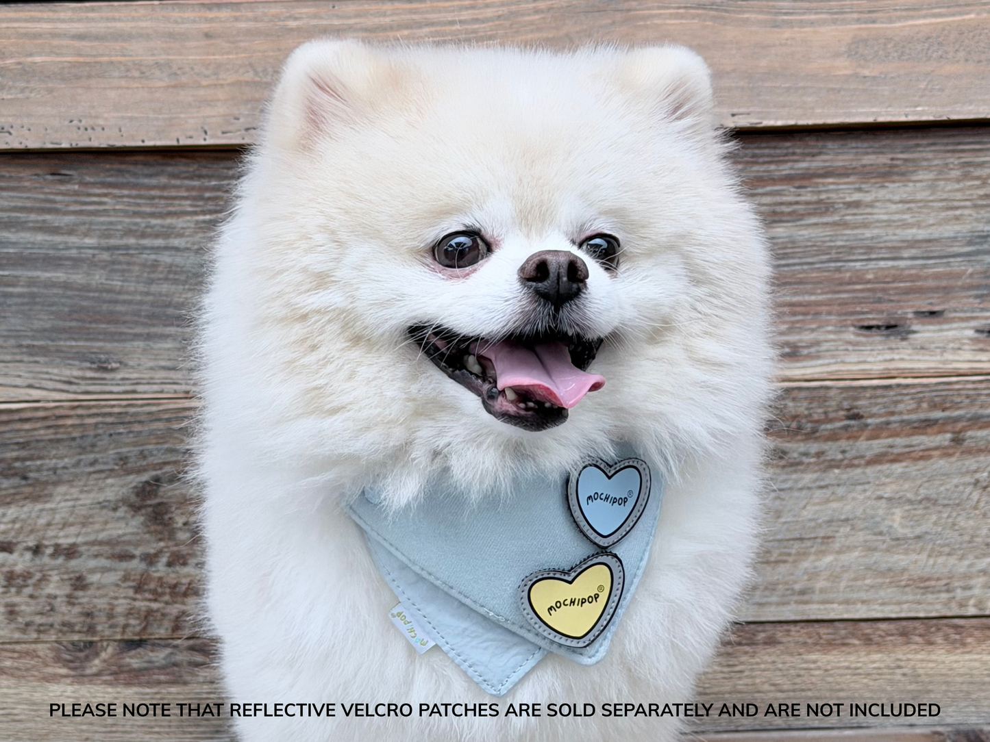 Adjustable Pet Bandana
