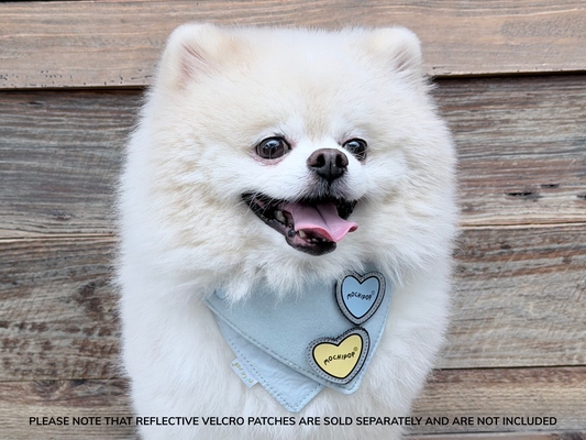 Adjustable Pet Bandana