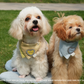 Adjustable Pet Bandana