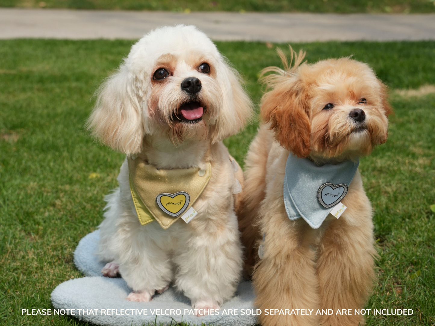 Adjustable Pet Bandana