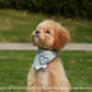 Adjustable Pet Bandana