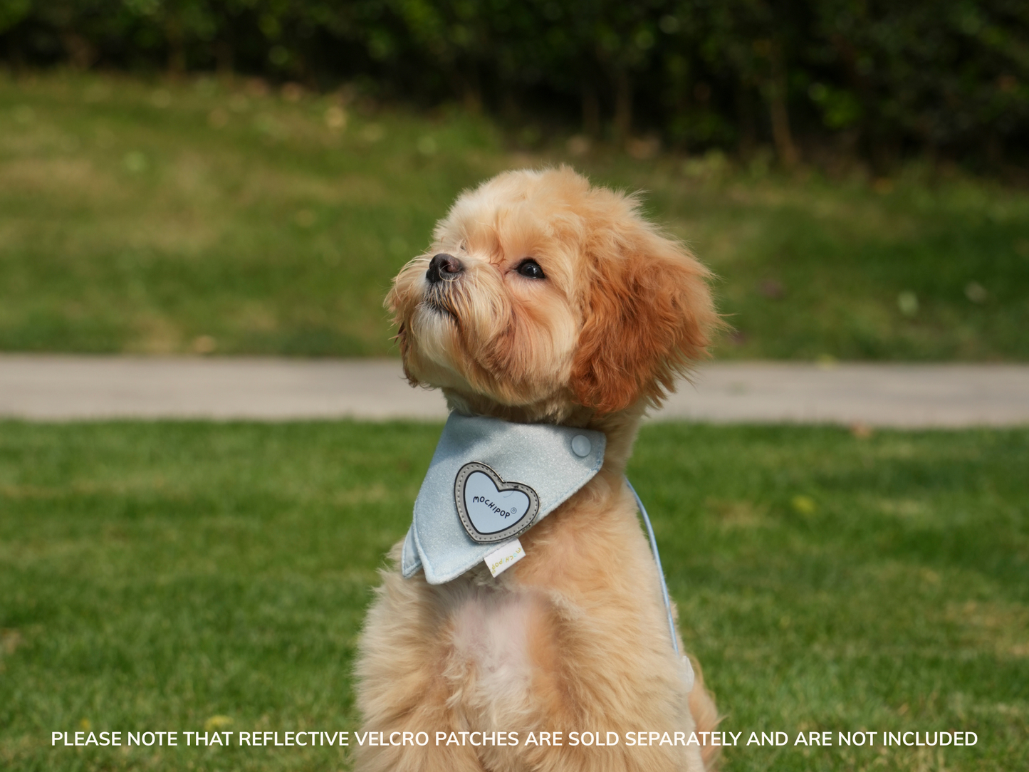 Adjustable Pet Bandana