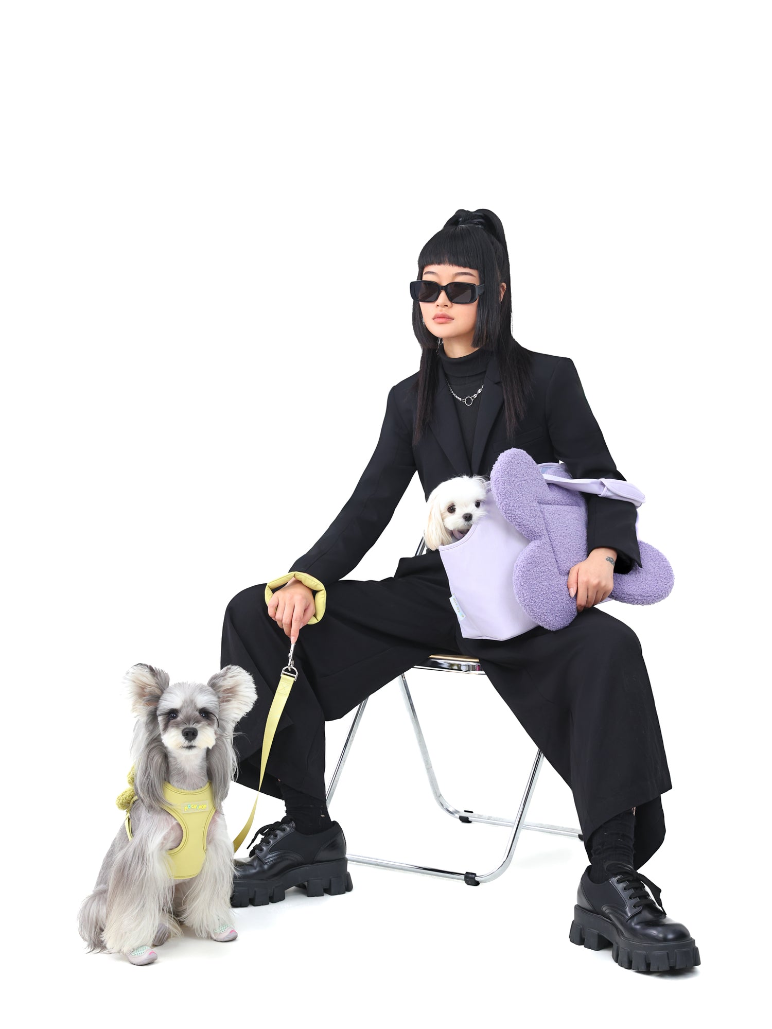 “the Bloomy” Dog Carrier Cushion + Pet Harness