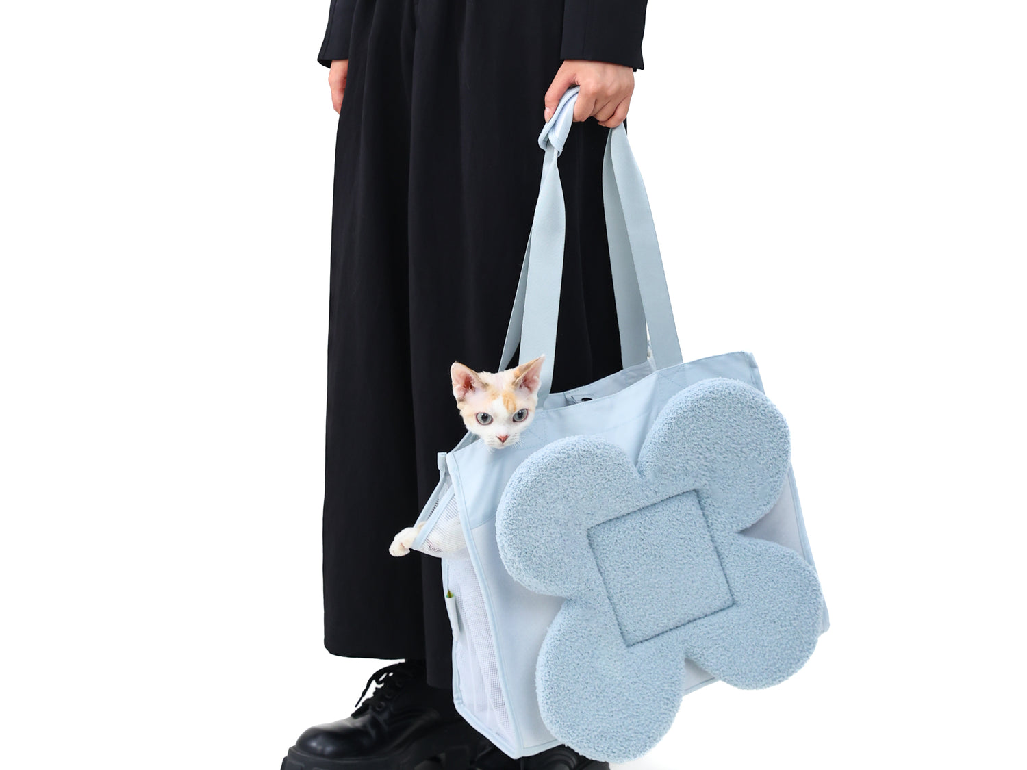 Cat in Blue Cat Carrier