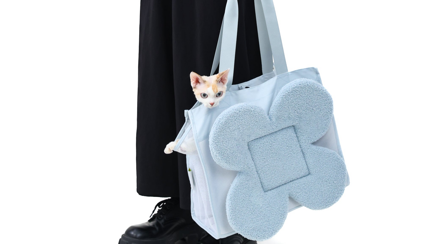 Devon Rex in Blue Cat Carrier 