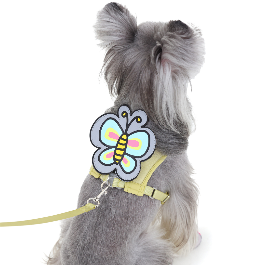 Pet Harness