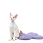 Cat on “the Bloomy” Cat Carrier Cushion