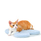 Cat on “the Bloomy” Cat Carrier Cushion