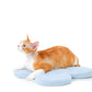 Cat on “the Bloomy” Cat Carrier Cushion