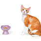 “the Floret” Elevated Ceramic Pet Bowl - PURPLE
