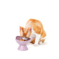 “the Floret” Elevated Ceramic Pet Bowl - PURPLE