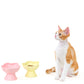 “the Floret” Elevated Ceramic Pet Bowl